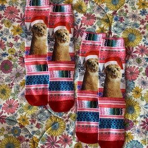 Two Pairs Stance Tinsel Tina Socks